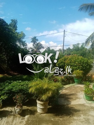 House for Sale Homagama