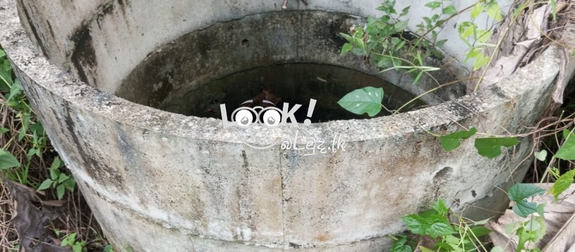 කුරුණෑගල,රන්ටැටි උයන,  පර්චස් 16ක හතරැස් ඉඩම විකිනීමට ඇත 16‑perch rectangular plot in Kurunegala, Ranteti Uyana for sale.” குருநegaலா, ராந்தெட்டி உயநத்தில் உள்ள 16 பச்சை சதுரமான நிலம் விற்க உள்ளது