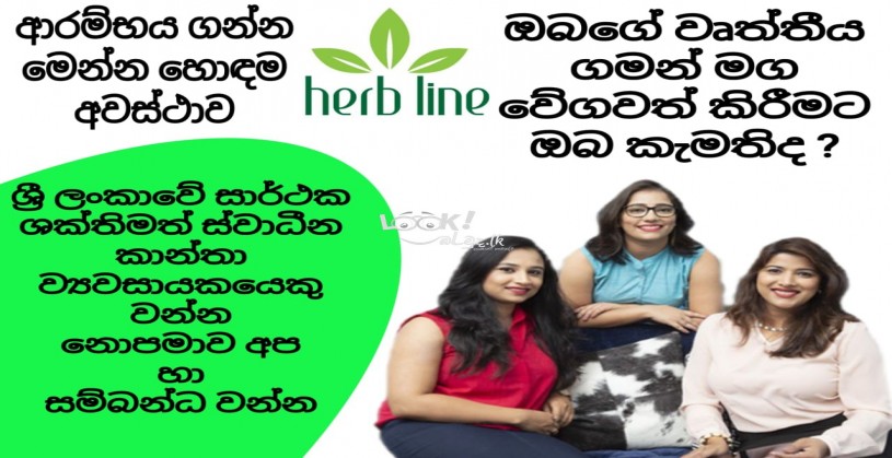 ඔන්ලයින් සේල්ස් 