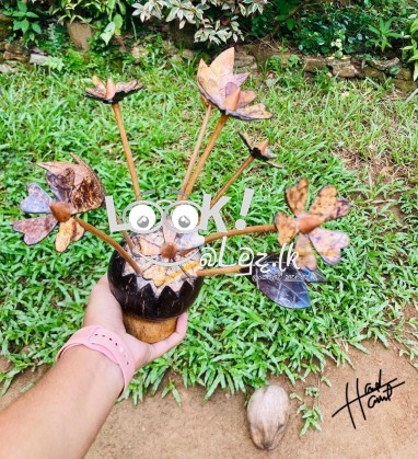 Coconut shell Handy Craft 