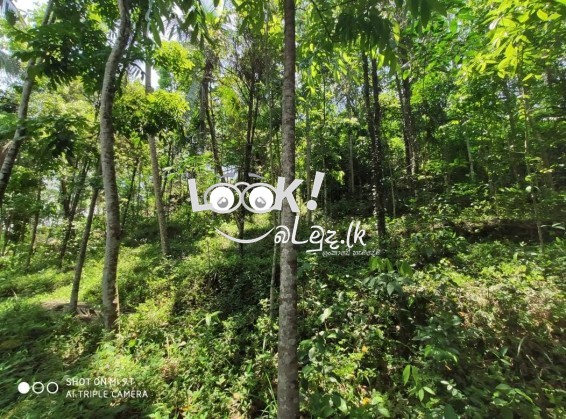 Land for Sale KEGALLE 