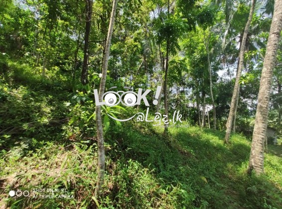 Land for Sale KEGALLE 