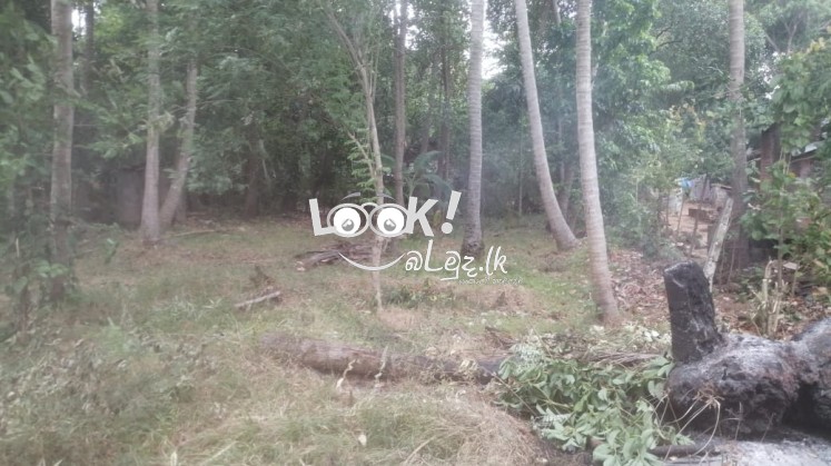 ඉක්මනින්ම විකිනීමට 