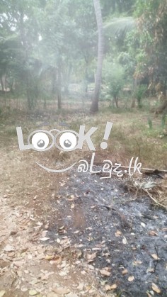 ඉක්මනින්ම විකිනීමට 