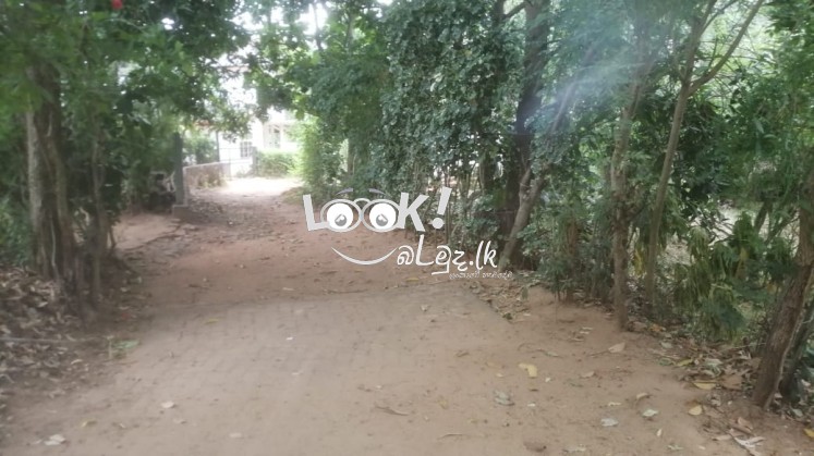 ඉක්මනින්ම විකිනීමට 