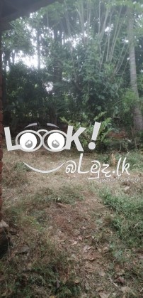 ඉක්මනින්ම විකිනීමට 