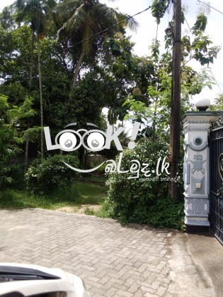 LAND @ KELANIYA WEWALDUWA 