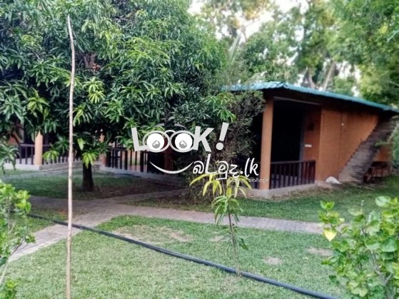 THE GRAND YALA HOTEL  Tissamaharama