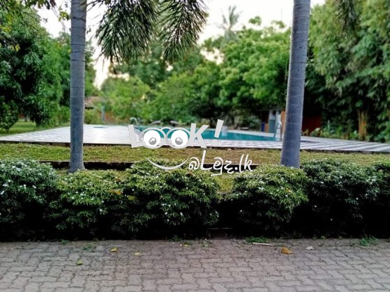 THE GRAND YALA HOTEL  Tissamaharama