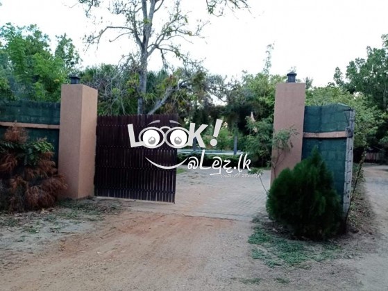 THE GRAND YALA HOTEL  Tissamaharama