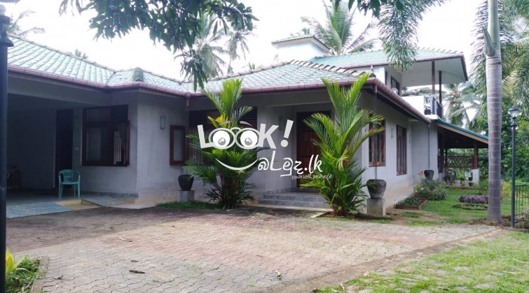 Estate for Sale - Pinnawala