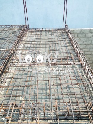 සැටලින්