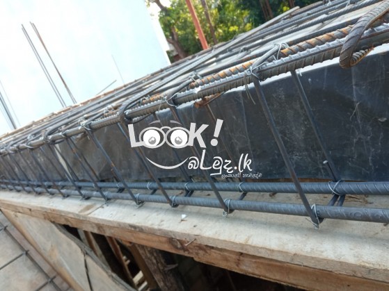 සැටලින්