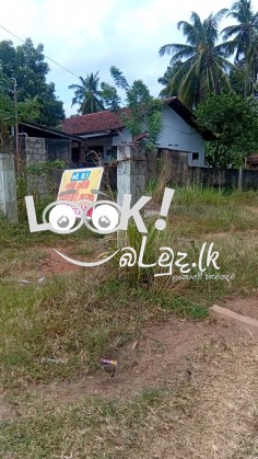 Land for Sale kurunagala -පන්නල  මැල්ලවගෙදර  ප්‍රධාන පාරට  මුහුණලා  ඇති   පර්චස් 18.5ක ඉඩම විකිණීමට