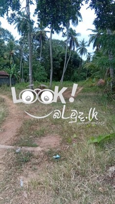 Land for Sale kurunagala -පන්නල  මැල්ලවගෙදර  ප්‍රධාන පාරට  මුහුණලා  ඇති   පර්චස් 18.5ක ඉඩම විකිණීමට