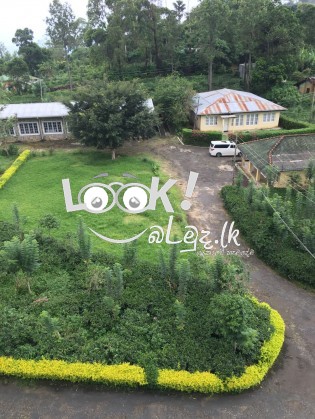 Plantation land inducing a tea leaf industry with fully equipped facilities is available for sale