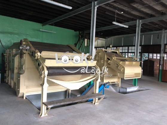 Plantation land inducing a tea leaf industry with fully equipped facilities is available for sale