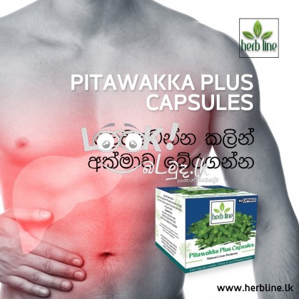 Herbline Online Business 