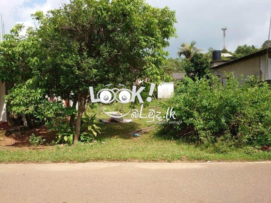 Land For Sale Panadura 