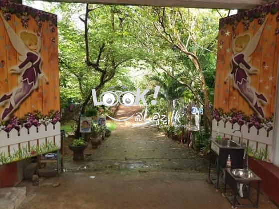 Little stars nursery & Day care