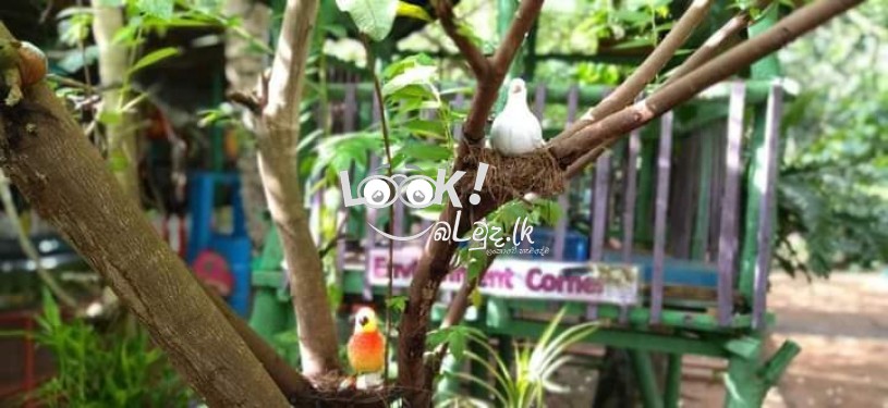 Little stars nursery & Day care