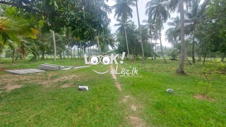 Land for sale