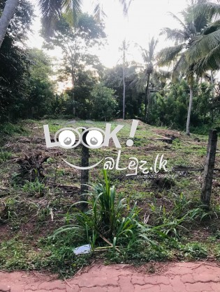 Land for sale