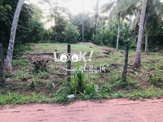 Land for sale