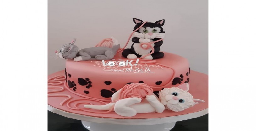 Chef Malka,s Cake Lab - Design Cakes
