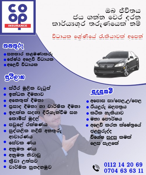 Job Vacancy Kaduwela