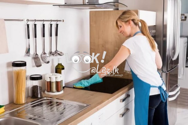 SUTHARN AGENCY   houes maid attendent service 