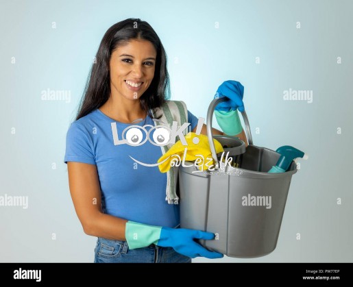 SUTHARN AGENCY   houes maid attendent service 