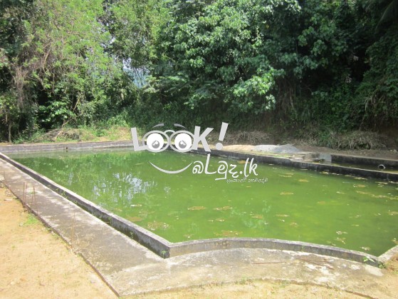 Luxury COMMERCIAL PROPERTY FOR SALE RATHNAPURA