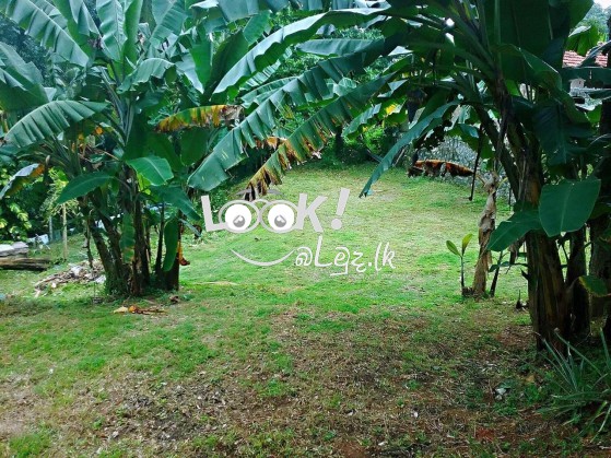 Villas for sale in Hikkaduwa 