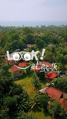 Villas for sale in Hikkaduwa 