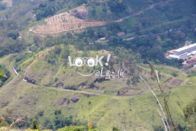 Ella view point hotel