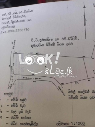 Coconut land for sale in Udugampola Gampaha