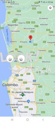 Coconut land for sale in Udugampola Gampaha