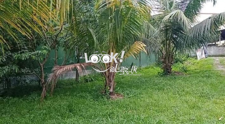 House for Sale Maharagama