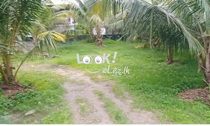 House for Sale Maharagama