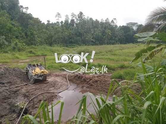 Valuable Land for Sale 