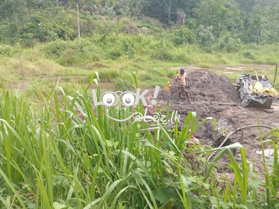 Valuable Land for Sale 