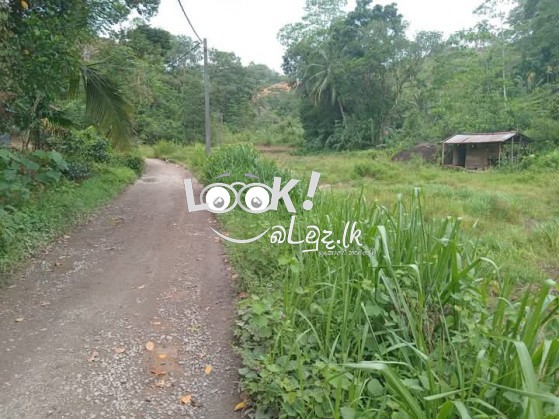 Valuable Land for Sale 