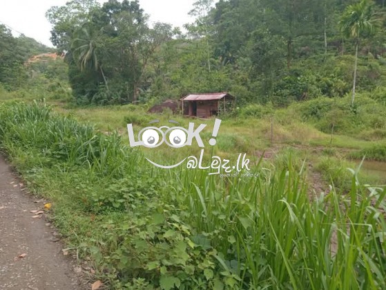 Valuable Land for Sale 