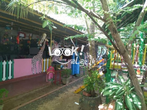 Little Stars International  nursery School