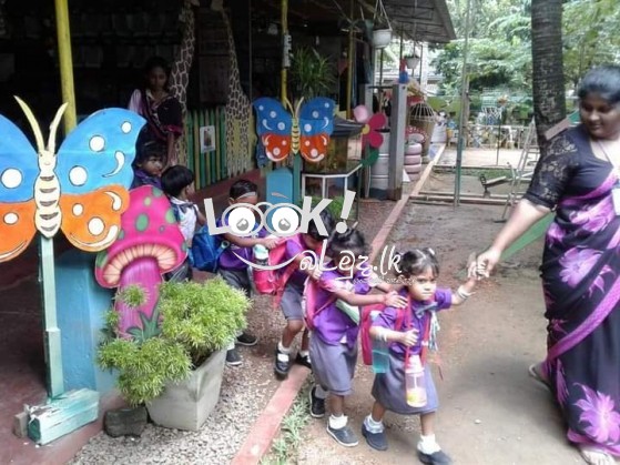 Little Stars International  nursery School