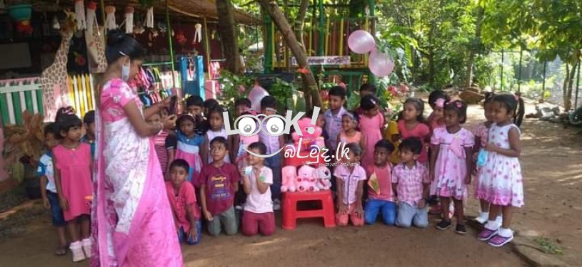 Little Stars International  nursery School
