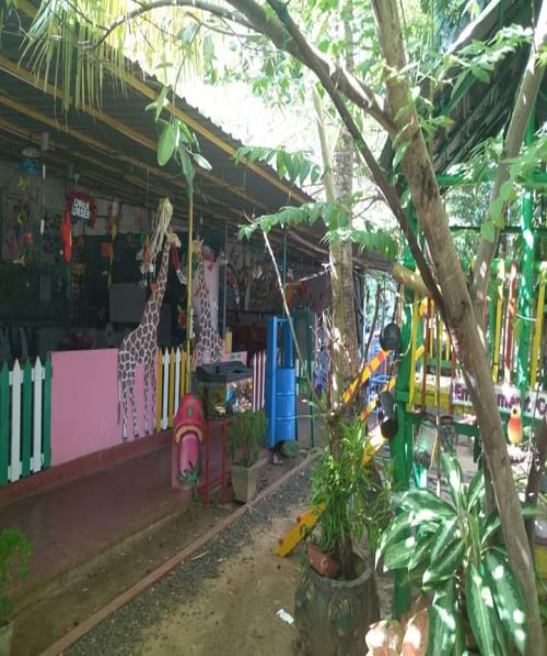 Little Stars International  nursery School