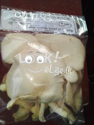 ජේ.කේ.බිම්මල්