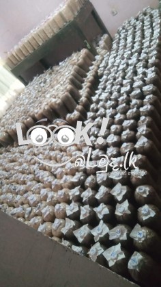 ජේ.කේ.බිම්මල්